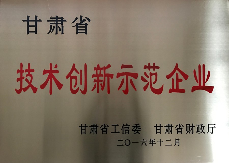 甘肅省技術(shù)創(chuàng)新示范企業(yè)