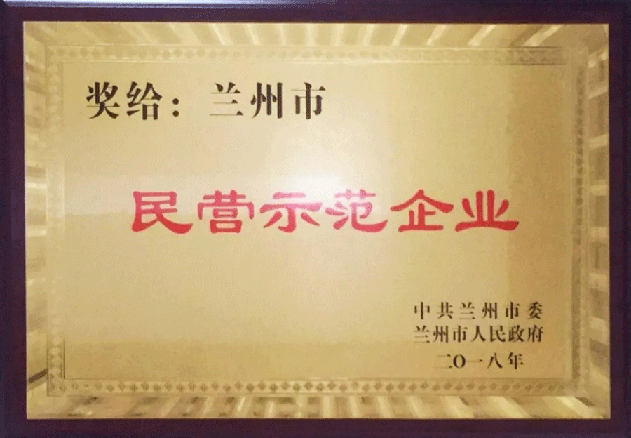 蘭州市民營示范企業(yè)