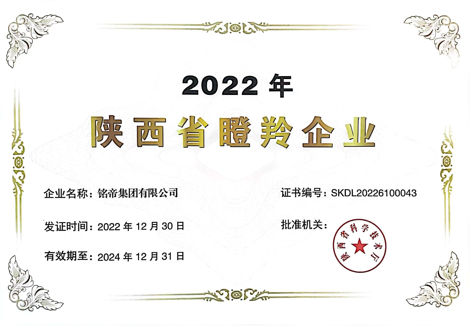 銘帝集團(tuán)榮獲瞪羚企業(yè)稱號(hào)