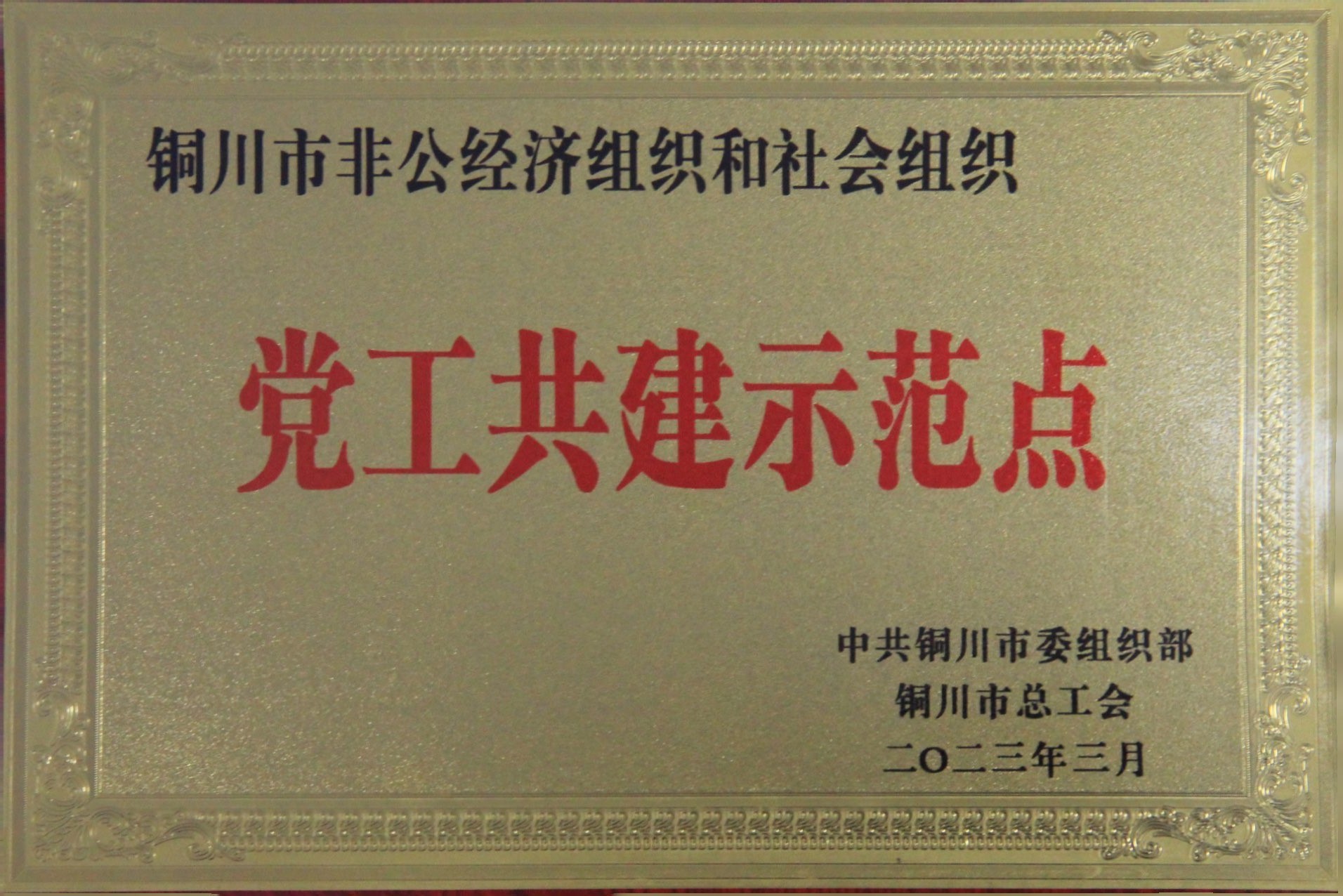 銘帝集團(tuán)有限公司榮獲銅川市非公經(jīng)濟(jì)組織和社會(huì)組織黨工共建示范點(diǎn)